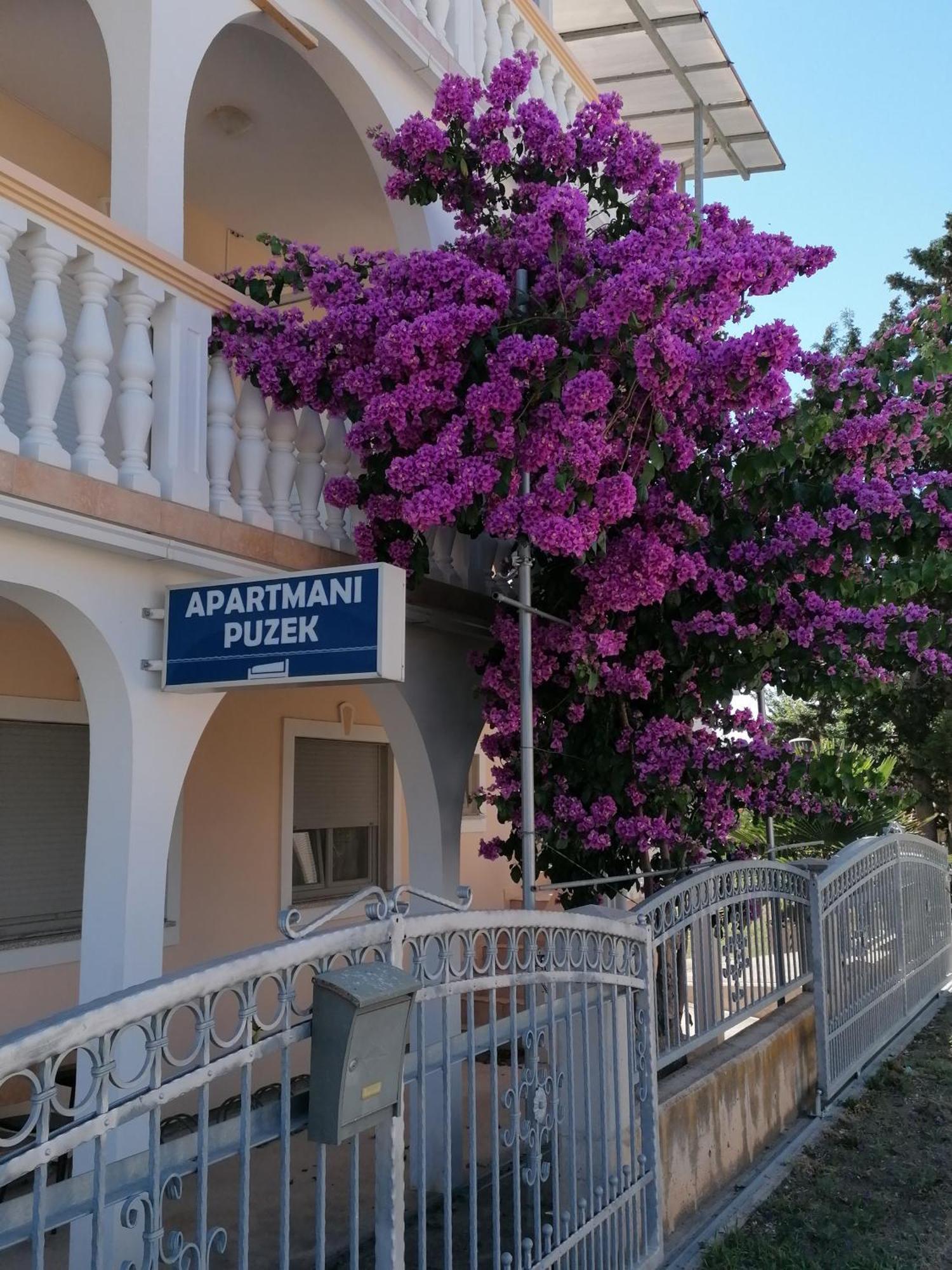 Apartmani Puzek Bibinje Exterior foto